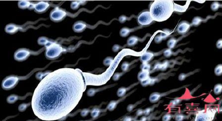 如何解释男性的精子轨道测试