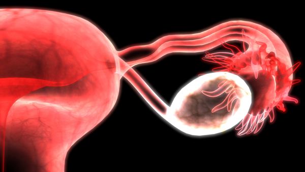 输卵管粘连能不能治好，会不会影响试管婴儿？
