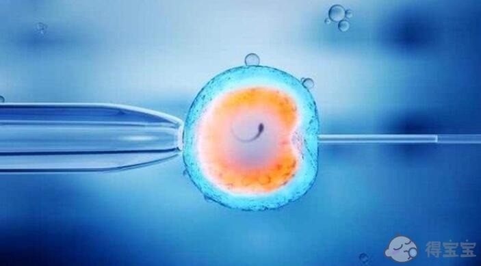 宜昌单身供卵助孕-试管婴儿胚胎冷冻技术有什么好处，这四个好处很多人都不知道？