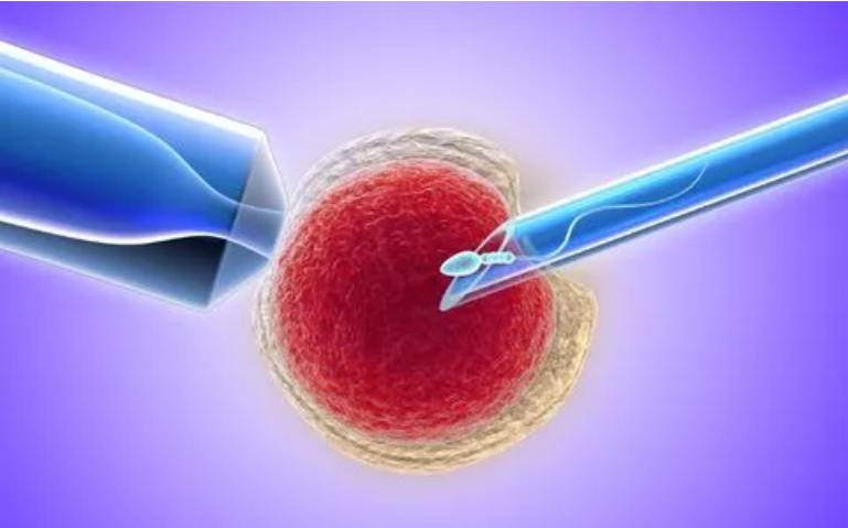 扬州三代合法供卵-第三代试管婴儿囊胚筛查的重要性以及筛查一个以上囊胚的必要性。